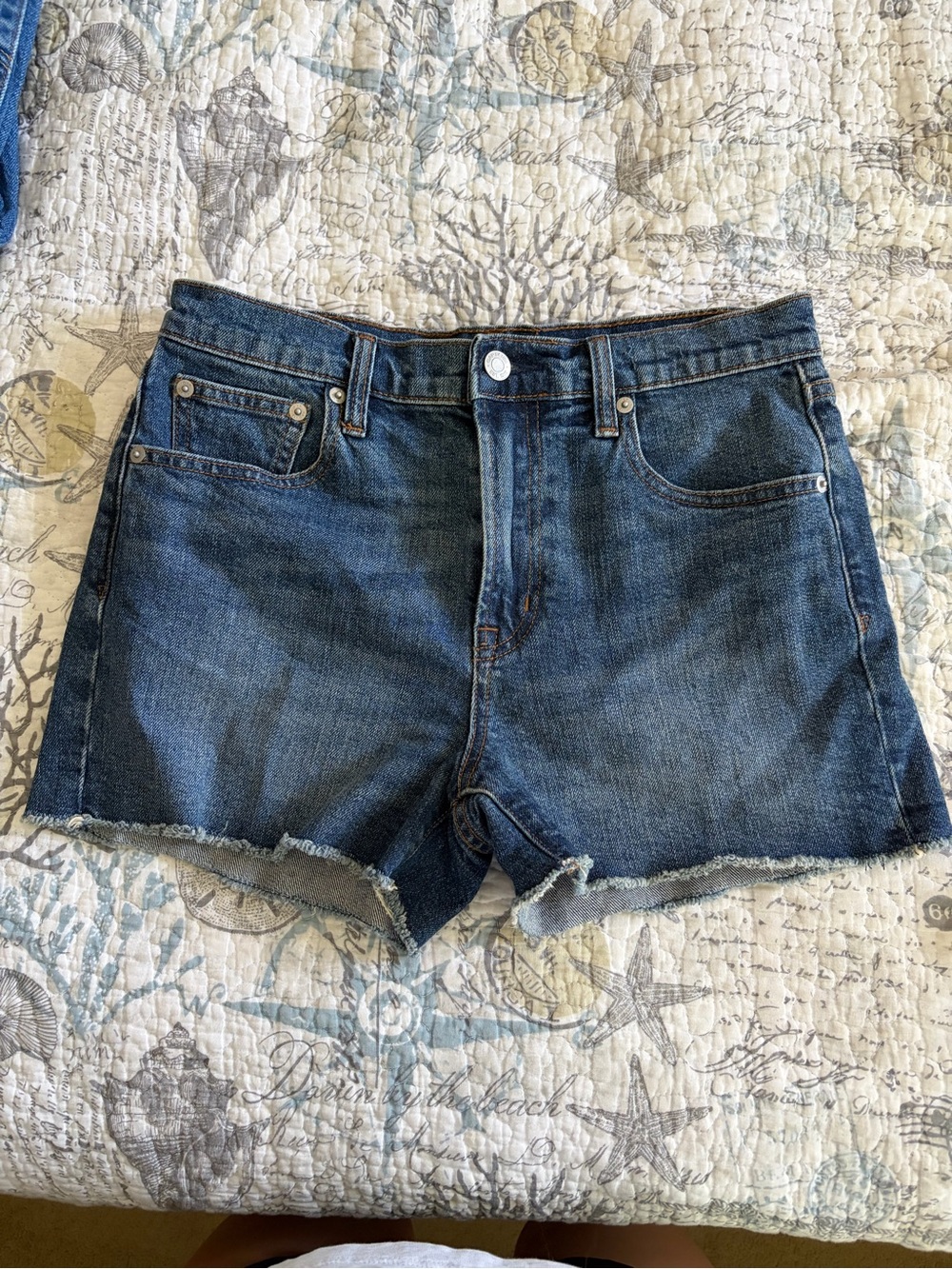 GAP Dark Blue Denim Cutoff Shorts